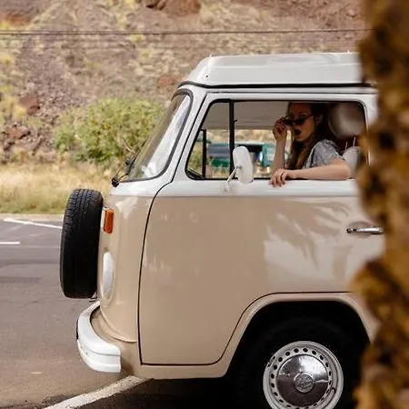 Tommy, A '77 Vw Bay Stylish